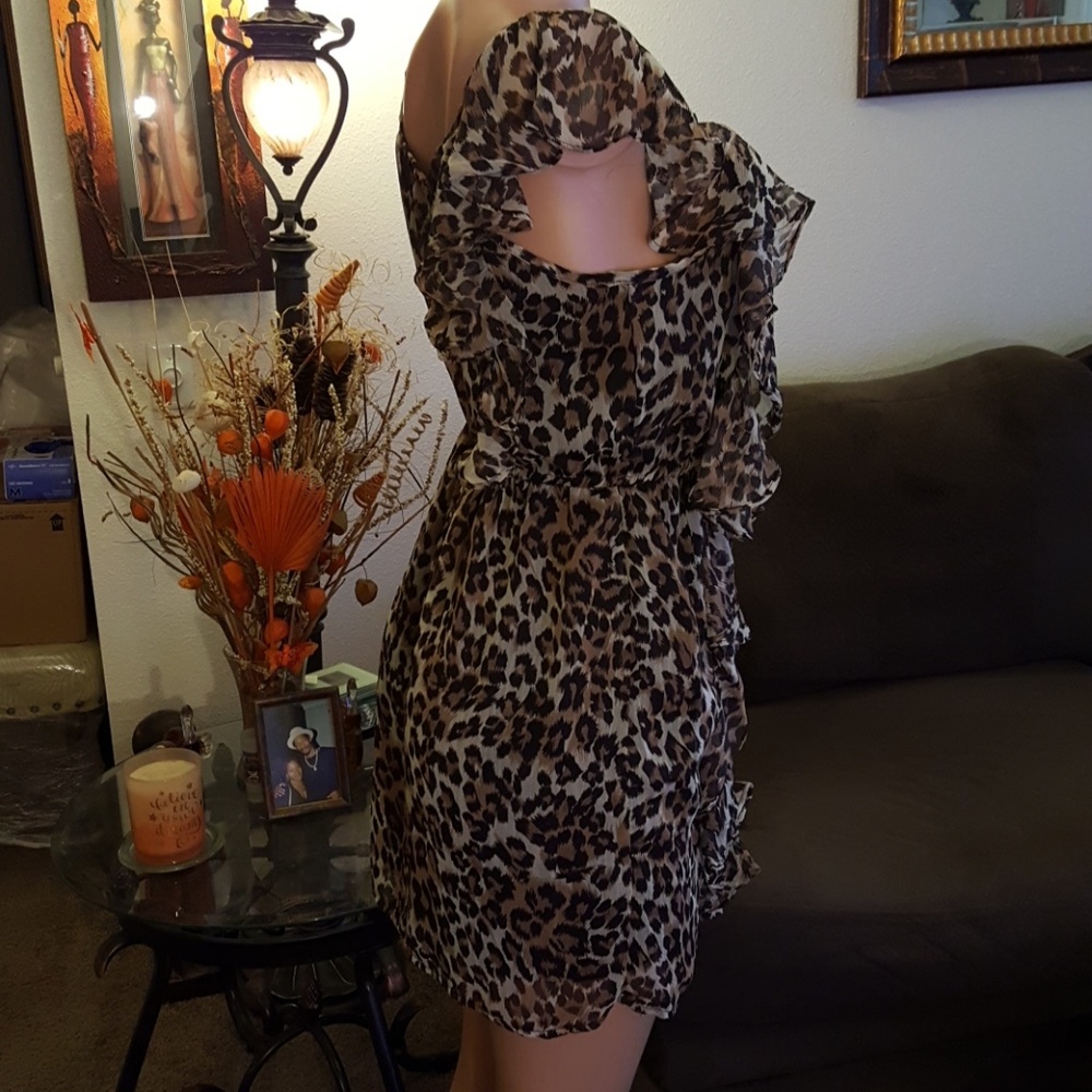 Leopard Print Dress - Picture 3 of 7